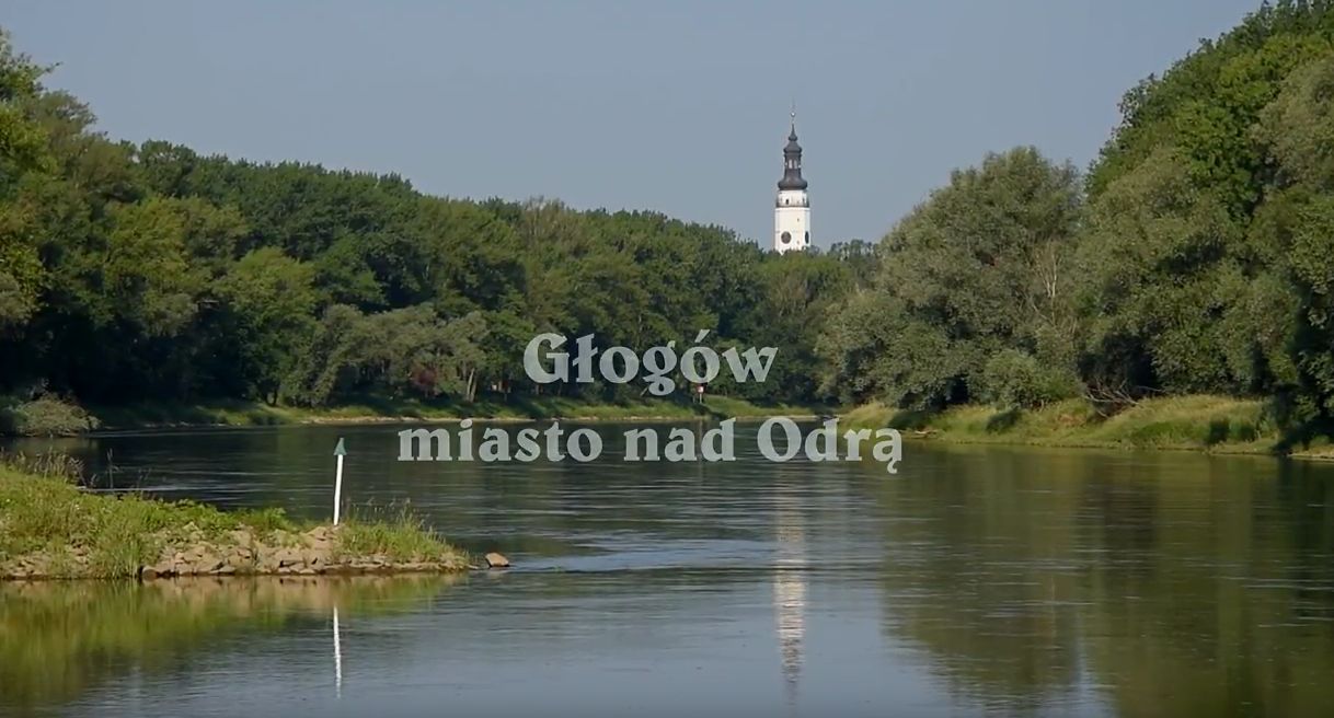 Ilustracja wprowadzenia: 